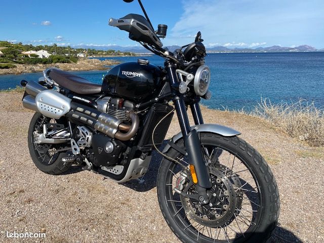 Triumph Scrambler 2021 — vendu
